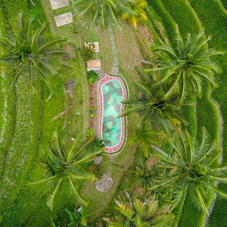 Pesona Bali Ecolodge By Agata Jatiluwih Exterior photo