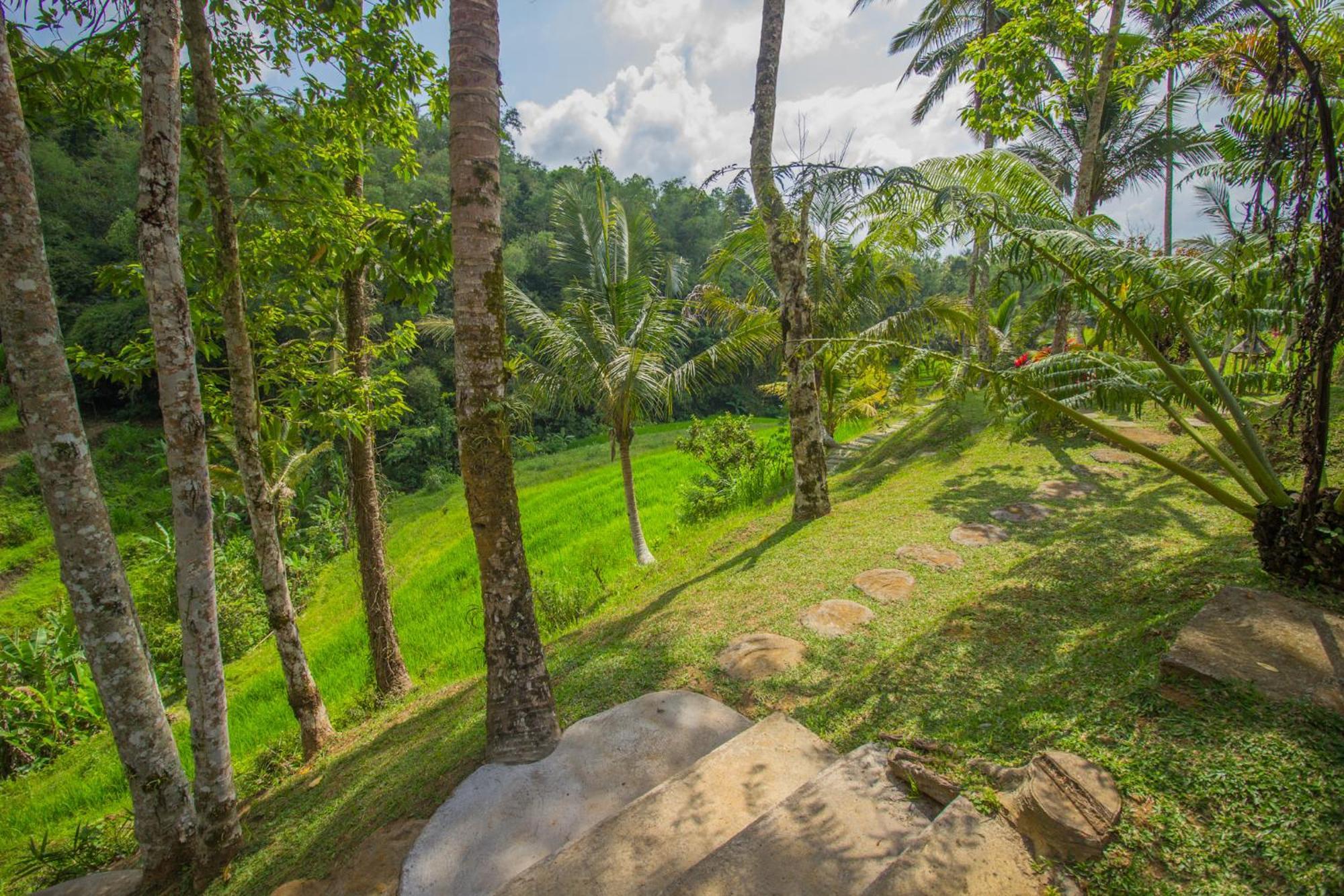 Pesona Bali Ecolodge By Agata Jatiluwih Exterior photo