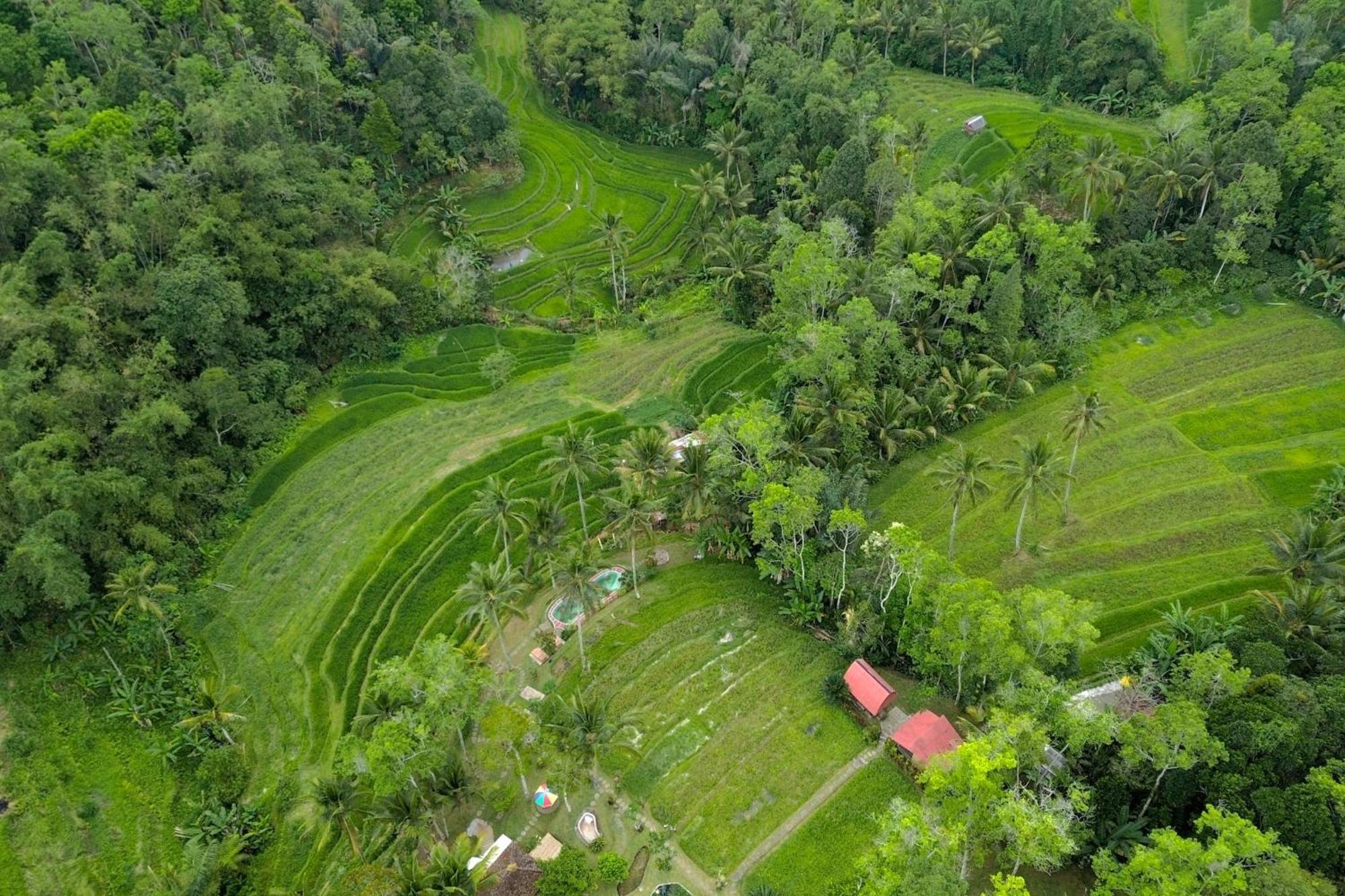 Pesona Bali Ecolodge By Agata Jatiluwih Exterior photo