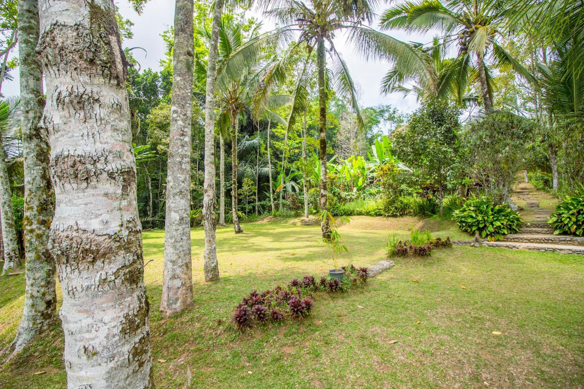 Pesona Bali Ecolodge By Agata Jatiluwih Exterior photo