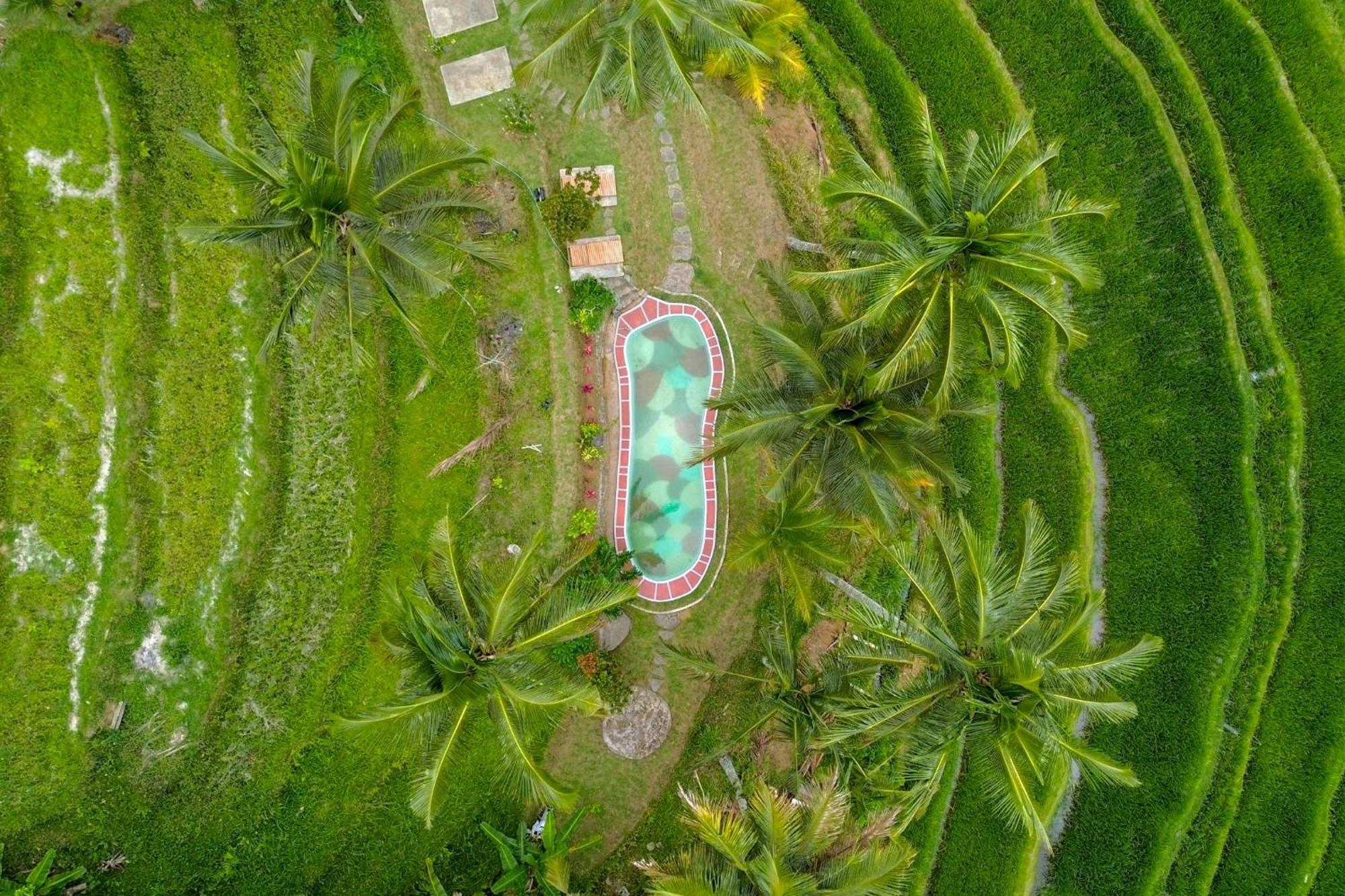Pesona Bali Ecolodge By Agata Jatiluwih Exterior photo