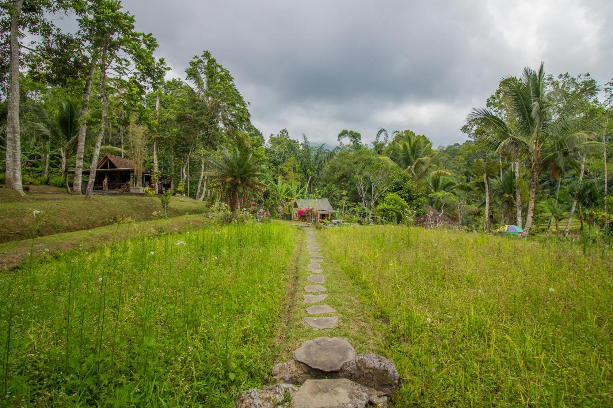 Pesona Bali Ecolodge By Agata Jatiluwih Exterior photo