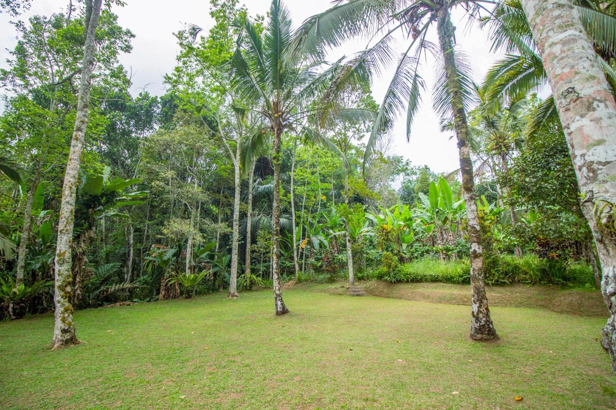 Pesona Bali Ecolodge By Agata Jatiluwih Exterior photo